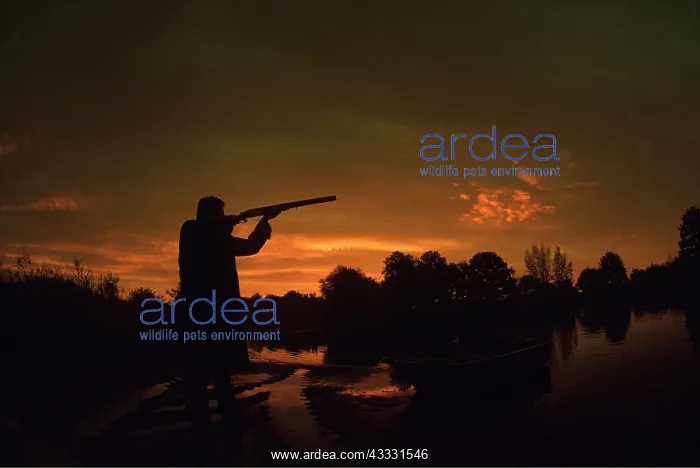 : SHOOTING - hunter : SHOOTING - hunter