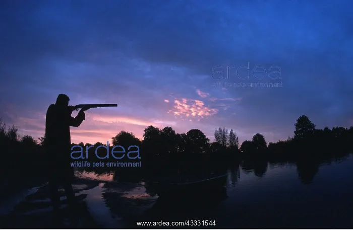 : SHOOTING - Hunter in Sologne, France : SHOOTING - Hunter in Sologne, France