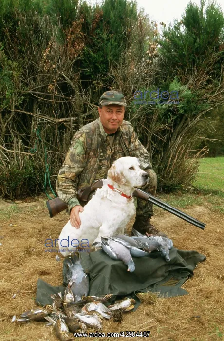 : SHOOTING - man & dog with dead pigeons & songbirds : SHOOTING - man & dog with dead pigeons & songbirds