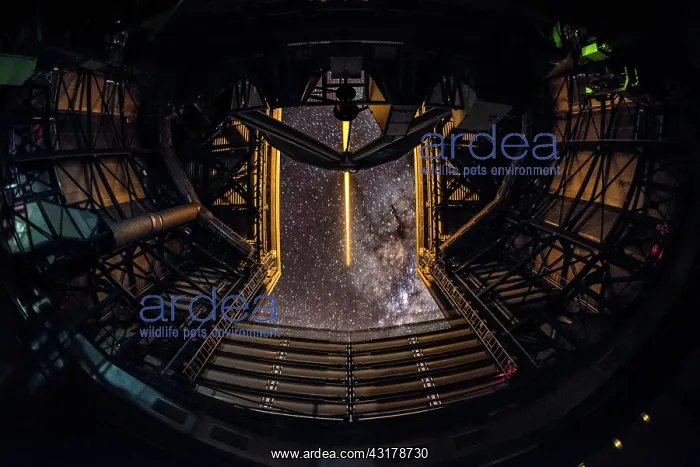: Shooting at the stars - Laser fired inside the UT4 : Shooting at the stars - Laser fired inside the UT4