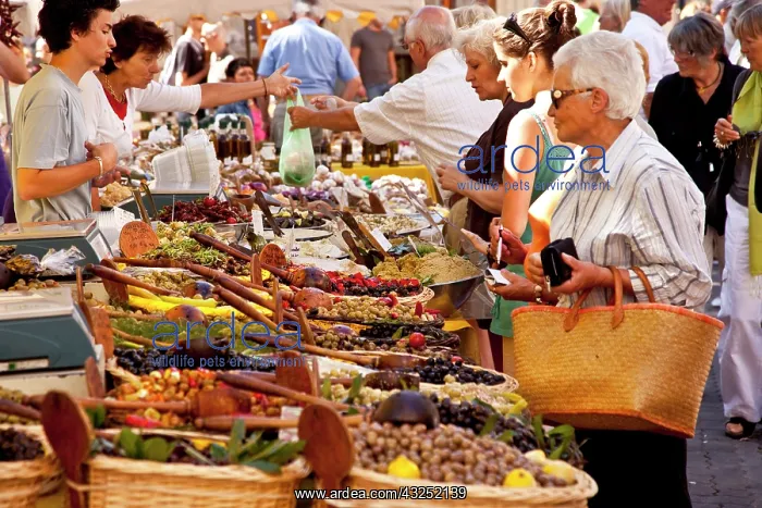 : Shoppers buying fresh produce at the market : Shoppers buying fresh produce at the market