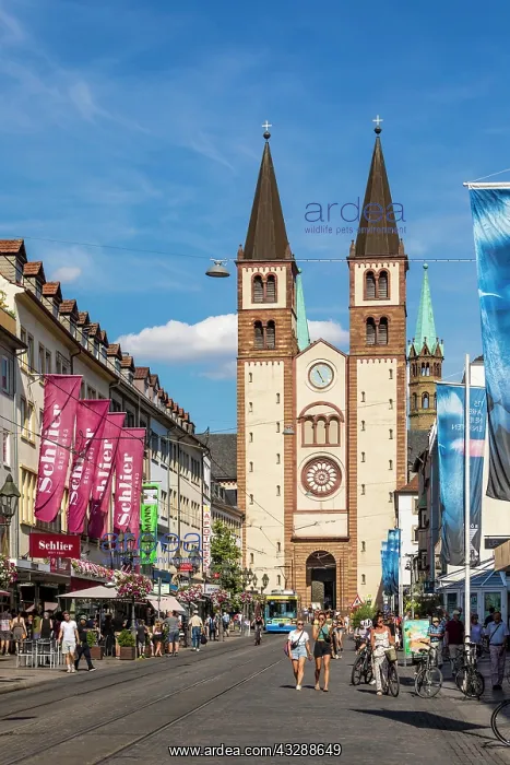 : Shops in Domstrasse, shopping street, St. Kilian : Shops in Domstrasse, shopping street, St. Kilian