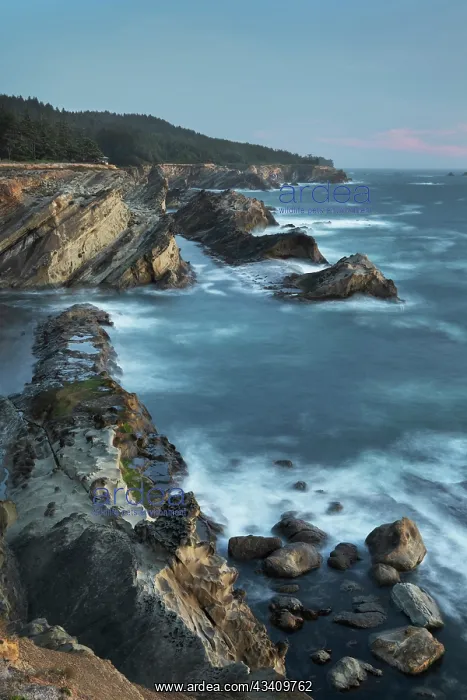 : Shore Acres State Park, Oregon : Shore Acres State Park, Oregon
