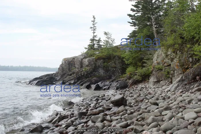 : Shore of Isle Royale : Shore of Isle Royale