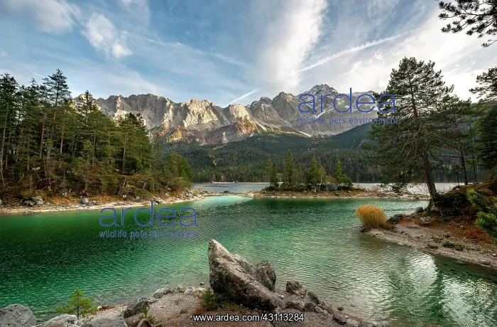 : Shore with rocks, Eibsee lake with Zugspitze massif : Shore with rocks, Eibsee lake with Zugspitze massif