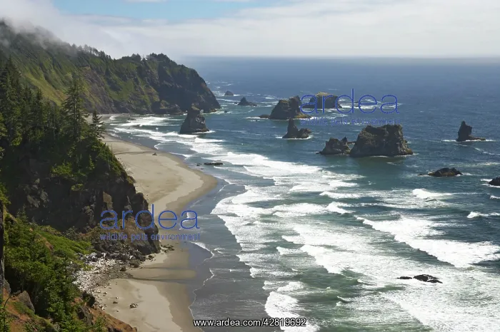 : Shoreline between Brookings & Gold Beach showing : Shoreline between Brookings & Gold Beach showing