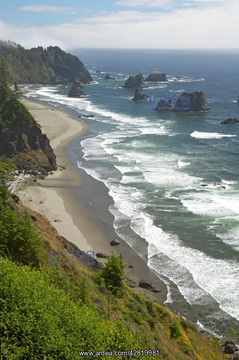 : Shoreline between Brookings & Gold Beach showing : Shoreline between Brookings & Gold Beach showing