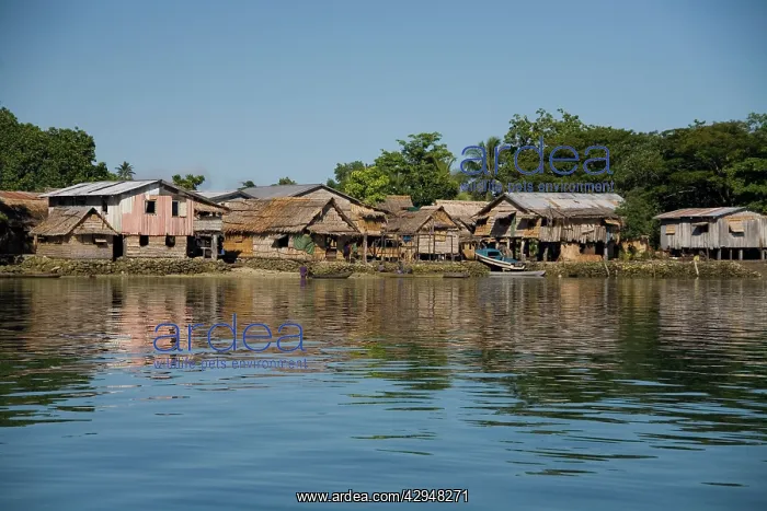 : Shoreline houses at Busu village on Alite Island : Shoreline houses at Busu village on Alite Island