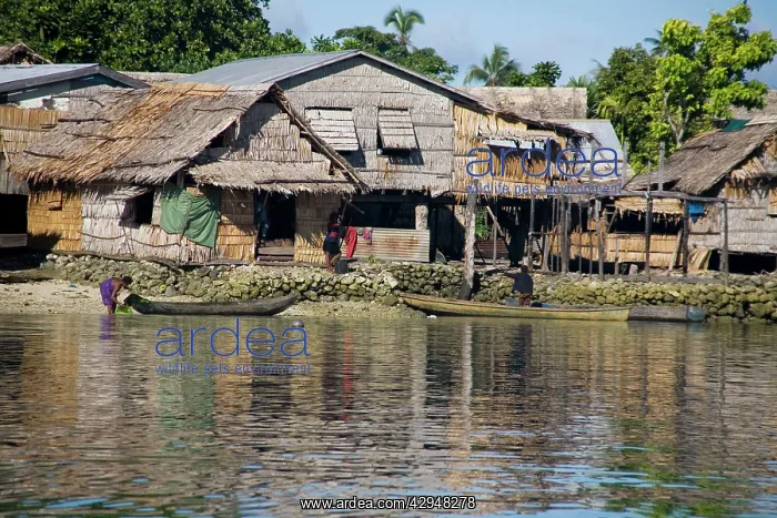 : Shoreline houses at Busu village on Alite Island : Shoreline houses at Busu village on Alite Island