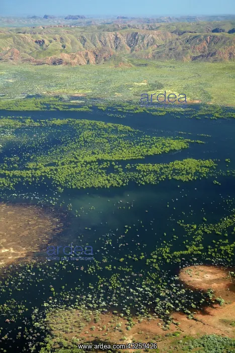 : Shoreline of Lake Argyle, Kimberley Region : Shoreline of Lake Argyle, Kimberley Region