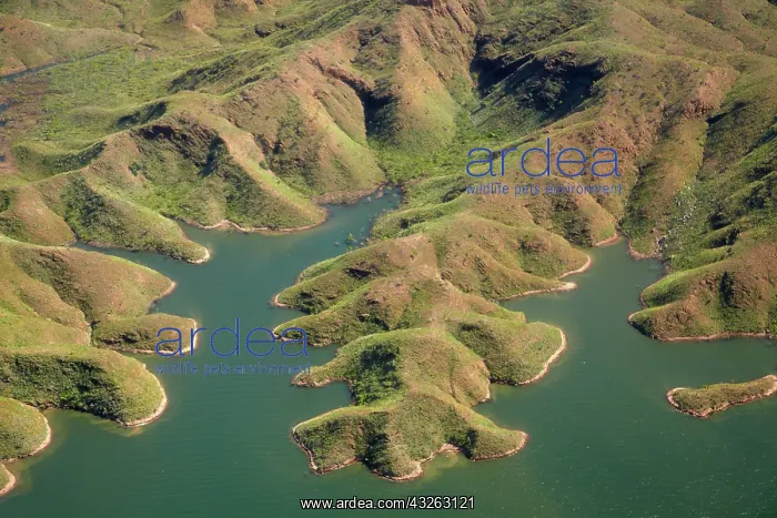 : Shoreline of Lake Argyle, Kimberley Region : Shoreline of Lake Argyle, Kimberley Region