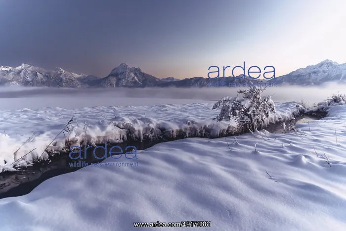  : Shortly after sunset, twilight at Lake Hopfensee in the Allgau in Bavaria in a winter landscape