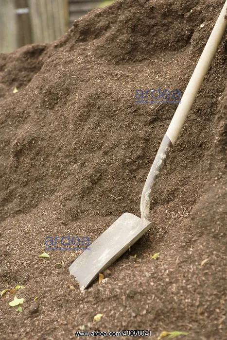 : Shovel, Garden tool : Shovel, Garden tool