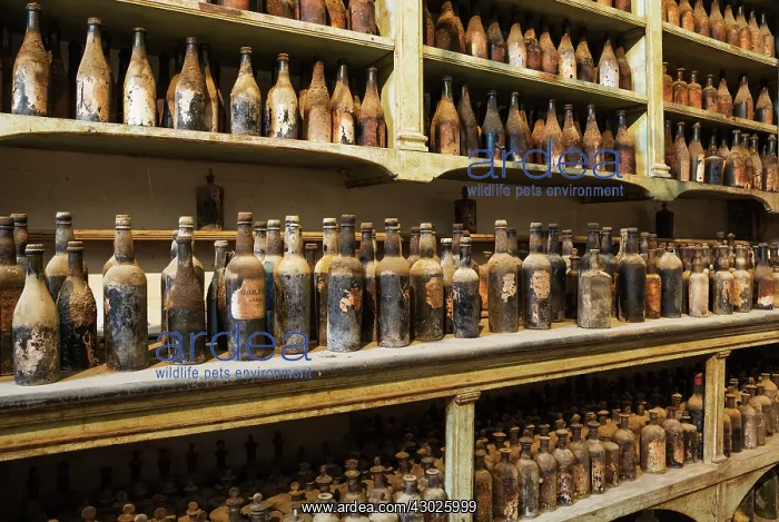 : Showroom with old dust covered sherry bottles at the B : Showroom with old dust covered sherry bottles at the B
