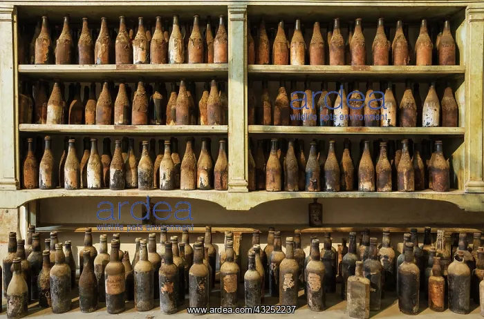 : Showroom with old dust covered sherry bottles at the B : Showroom with old dust covered sherry bottles at the B