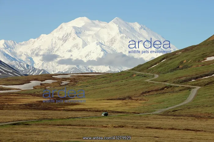 : A shuttle bus from the Denali National Park and : A shuttle bus from the Denali National Park and