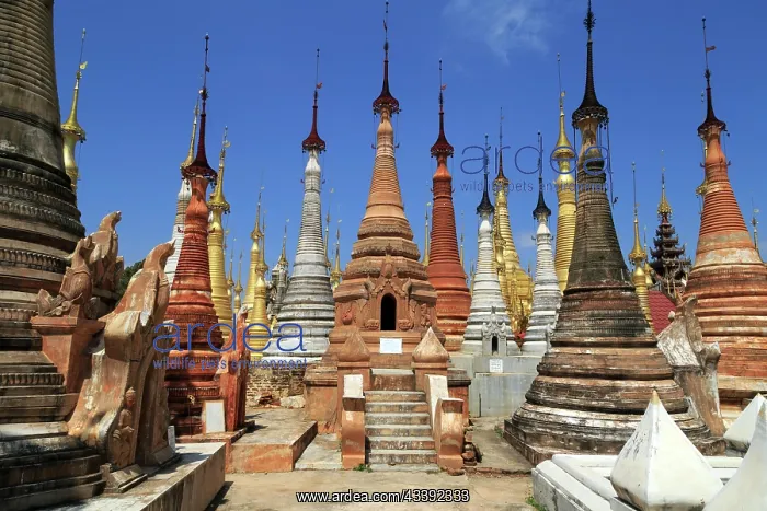 : Shwe Inn Thein Stupas on Inle Lake in Myanmar : Shwe Inn Thein Stupas on Inle Lake in Myanmar