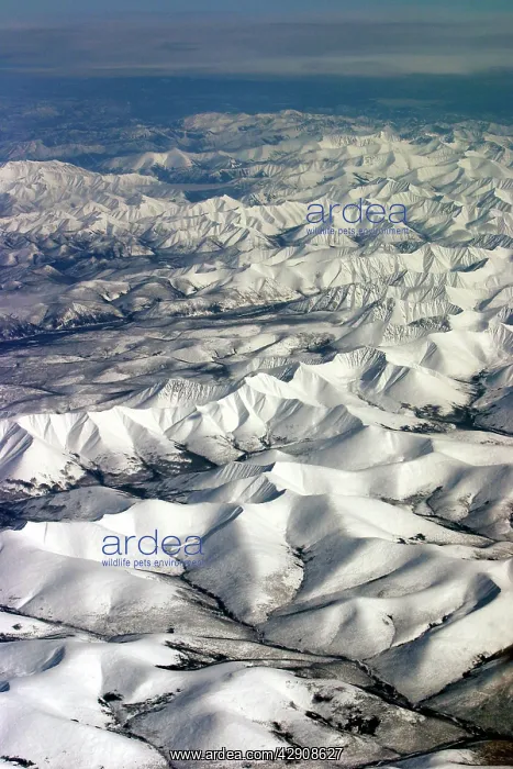 : SIBERIA - aerial : SIBERIA - aerial