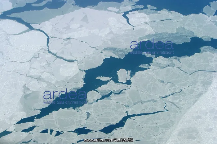 : SIBERIA - aerial of frozen water : SIBERIA - aerial of frozen water