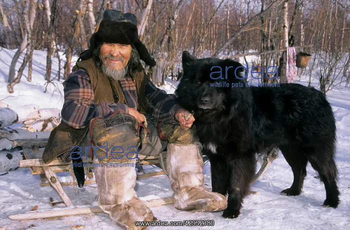 : Siberian shaman / sorcerer / wizard / healer / : Siberian shaman / sorcerer / wizard / healer /