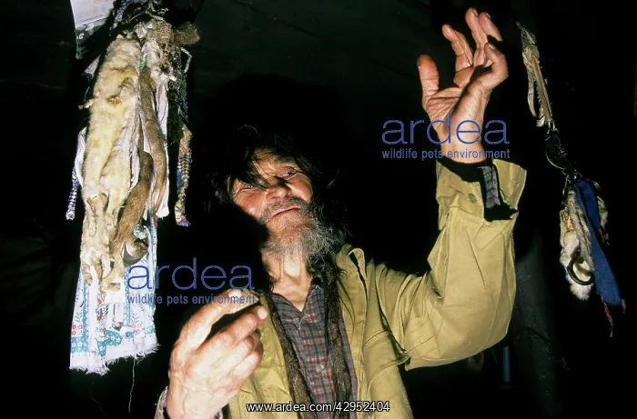 : A Siberian shaman / sorcerer / wizard / healer : A Siberian shaman / sorcerer / wizard / healer