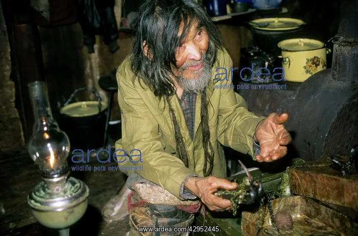 : Siberian shaman / sorcerer / wizard / healer / : Siberian shaman / sorcerer / wizard / healer /
