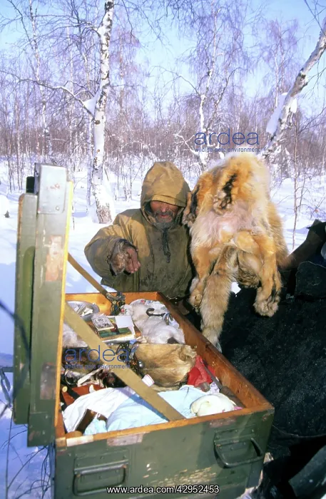 : Siberian shaman / sorcerer / wizard / healer / : Siberian shaman / sorcerer / wizard / healer /