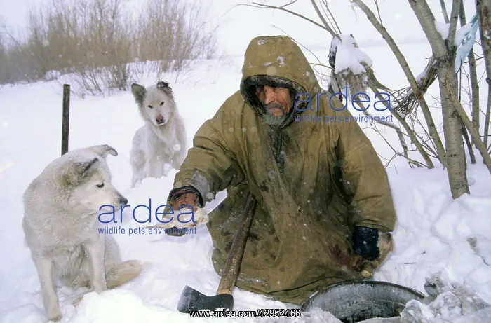 : Siberian shaman / sorcerer / wizard / healer / : Siberian shaman / sorcerer / wizard / healer /