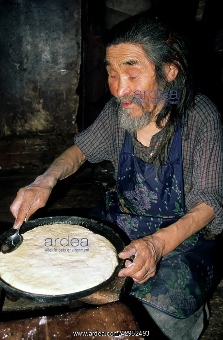 : Siberian shaman / sorcerer / wizard / healer / : Siberian shaman / sorcerer / wizard / healer /