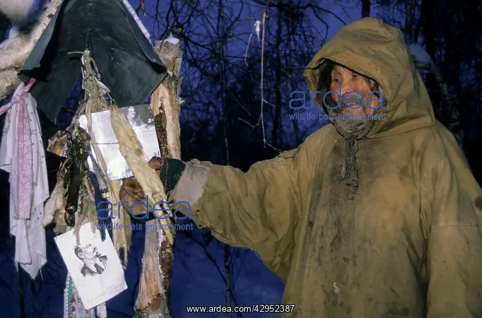 : Siberian shaman / sorcerer / wizard / healer / medicine : Siberian shaman / sorcerer / wizard / healer / medicine