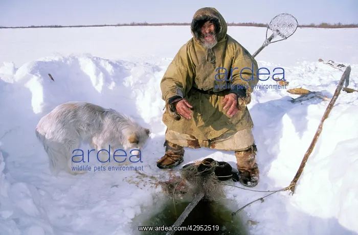: Siberian shaman / sorcerer / wizard / healer / medicine : Siberian shaman / sorcerer / wizard / healer / medicine