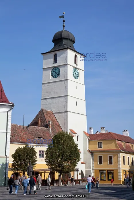 : Sibiu, Hermannstadt in Transylvania, Piata : Sibiu, Hermannstadt in Transylvania, Piata