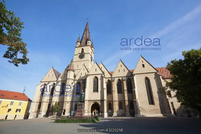 : Sibiu, Hermannstadt in Transylvania, Protestant : Sibiu, Hermannstadt in Transylvania, Protestant