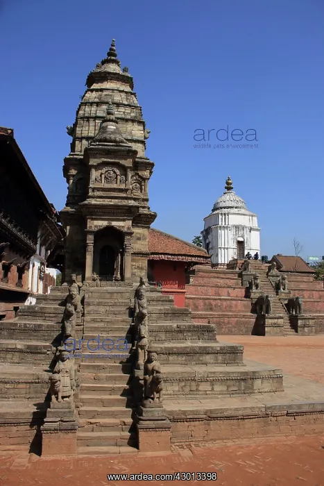 : Siddhi Laxmi Temple : Siddhi Laxmi Temple