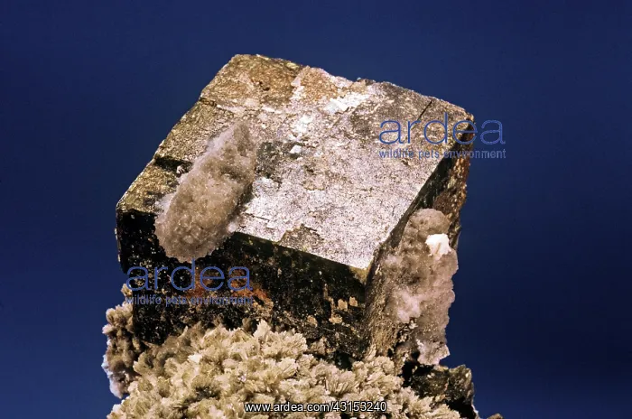 : Siderite from Quebec, Canada : Siderite from Quebec, Canada