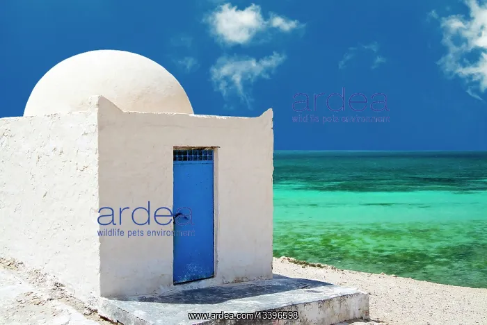 : Sidi Mahares Beach, Djerba, Jerba or Jarbah, Tunisia : Sidi Mahares Beach, Djerba, Jerba or Jarbah, Tunisia