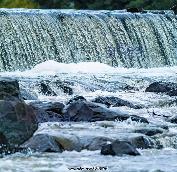 : Detail of the Siegburg Weir in the River Sieg, Siegburg : Detail of the Siegburg Weir in the River Sieg, Siegburg