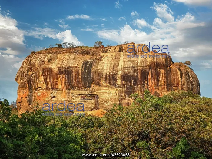 : Sigiriya rock, famous Sri Lankan tourist landmark : Sigiriya rock, famous Sri Lankan tourist landmark