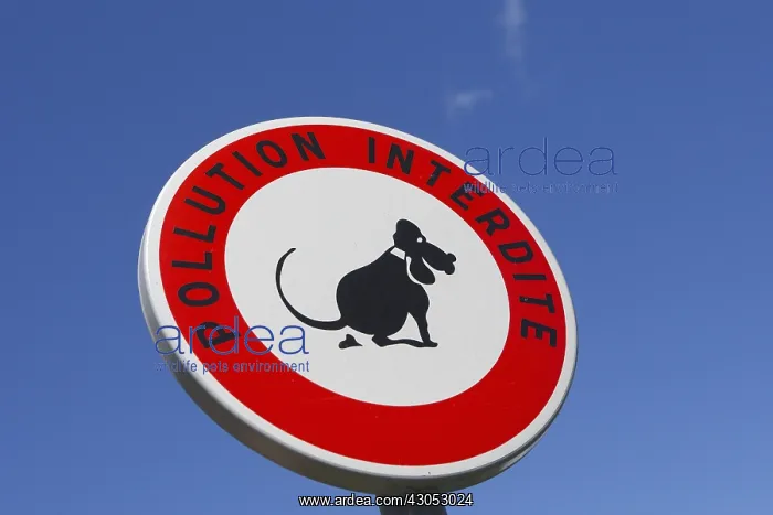 : Sign banning dog droppings France : Sign banning dog droppings France