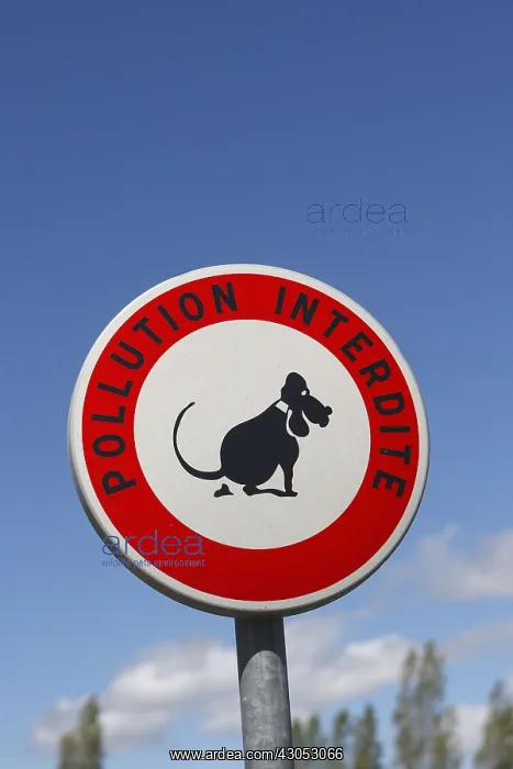: Sign banning dog droppings France : Sign banning dog droppings France