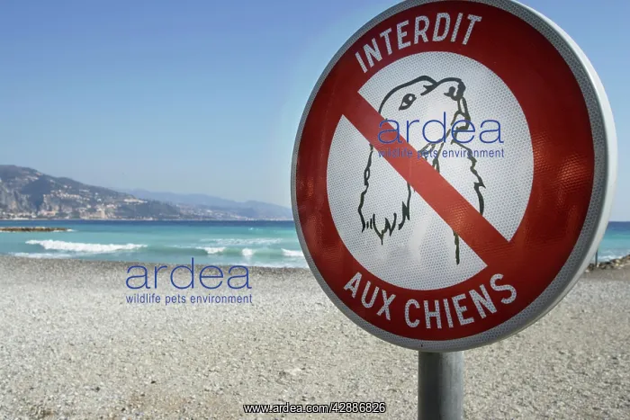 : Sign on beach - dogs forbidden : Sign on beach - dogs forbidden