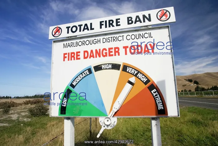 : Sign - board on roadside displaying daily fire : Sign - board on roadside displaying daily fire