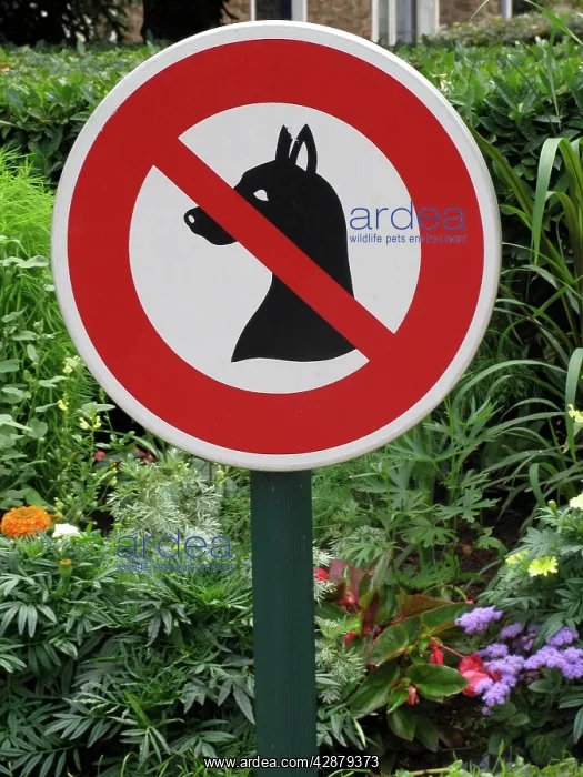  : Sign - No dogs allowed by flowerbed