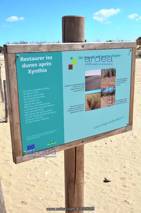 : Sign, dune restoration after storm Xynthia : Sign, dune restoration after storm Xynthia