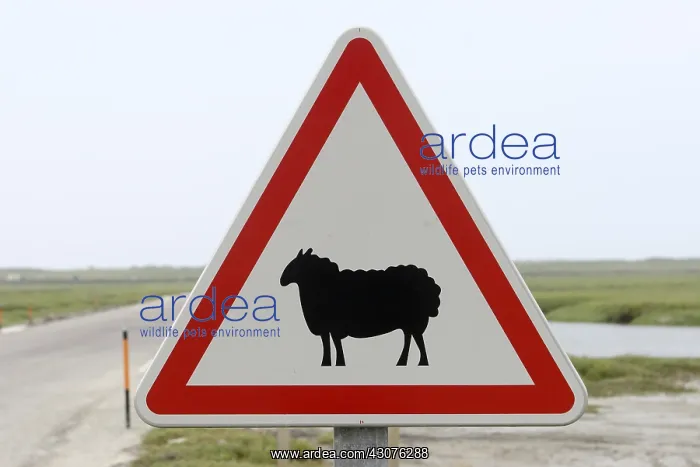 : Sign indicating the passage of sheep : Sign indicating the passage of sheep