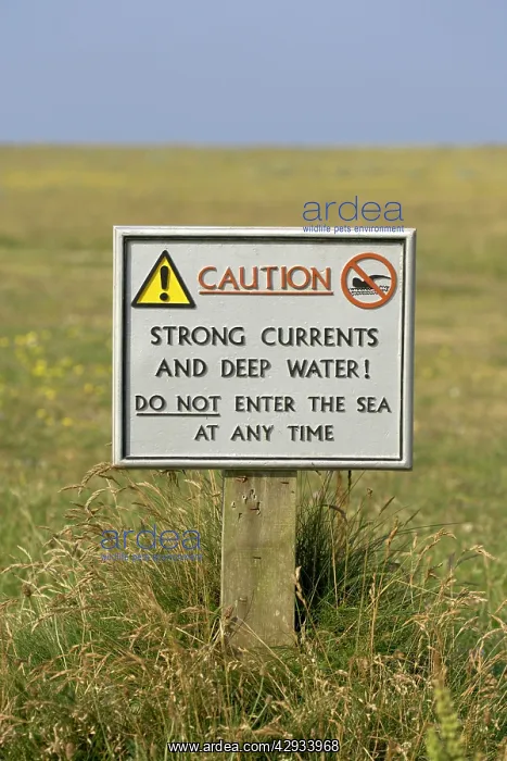 : Sign - National Trust sign warning of swimming : Sign - National Trust sign warning of swimming