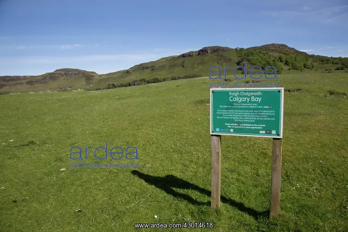 : Sign Notice : Sign Notice