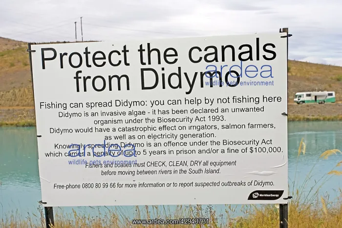 : Sign - notice on canal near Twizel warning anglers : Sign - notice on canal near Twizel warning anglers