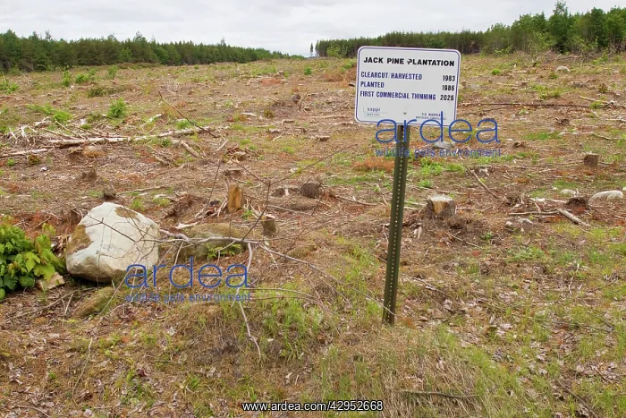 : Sign on Plum Creek property that was previously : Sign on Plum Creek property that was previously