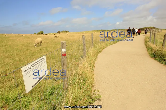 : Sign for preservation of the site of Cap-Gris-Nez - France : Sign for preservation of the site of Cap-Gris-Nez - France